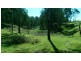 Lot 4 Putty Road, Putty NSW 2330
