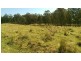 Lot 4 Putty Road, Putty NSW 2330