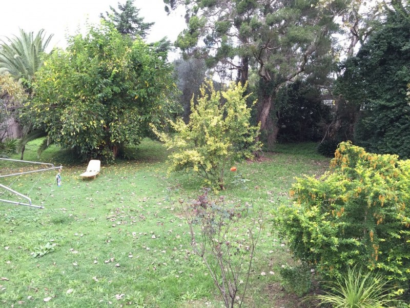 31 Drummond St, South Windsor NSW 2756