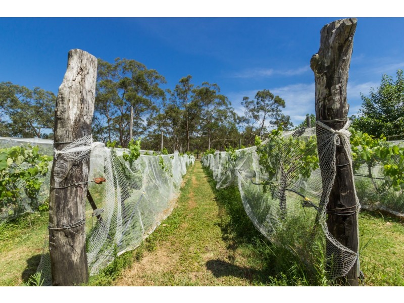 154 Morilla Rd, East Kurrajong NSW 2758