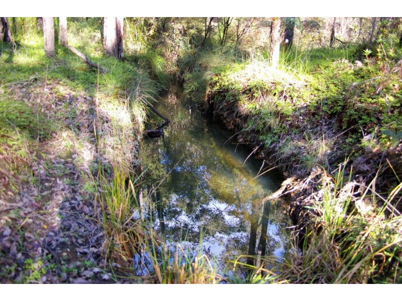 269 Gold Gully Road, Nannup WA 6275