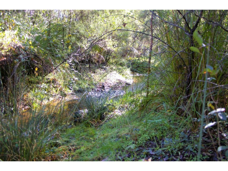 269 Gold Gully Road, Nannup WA 6275