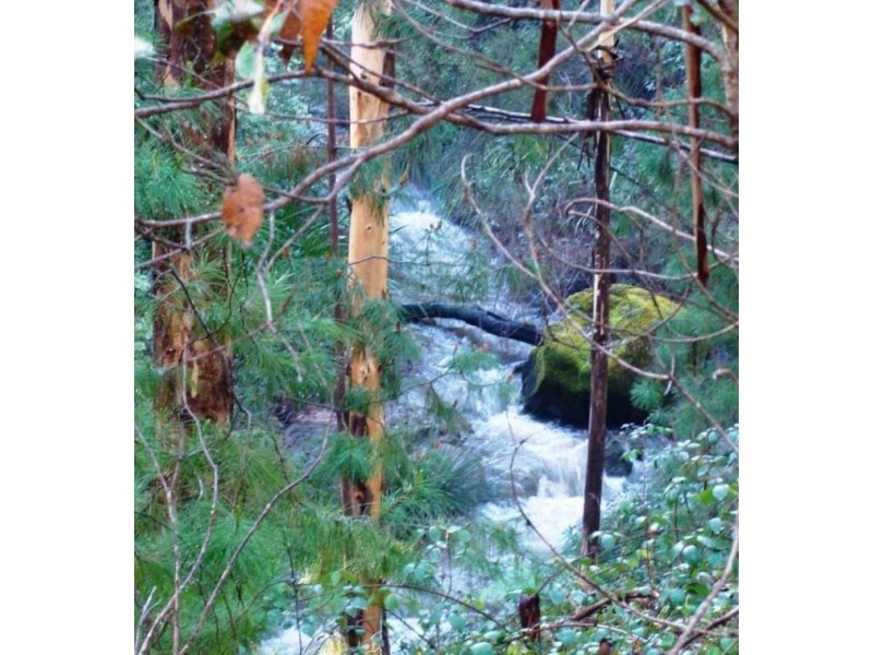 Lot 567 East Nannup Road, Nannup WA 6275