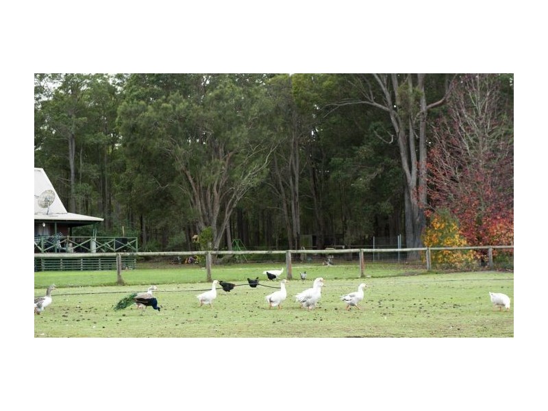 Lot 4027 Barrabup Rd, Nannup WA 6275