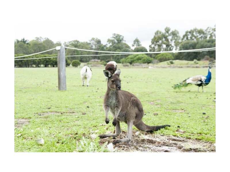 Lot 4027 Barrabup Rd, Nannup WA 6275