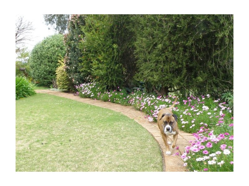 Lot 54 Dean Road, Nannup WA 6275