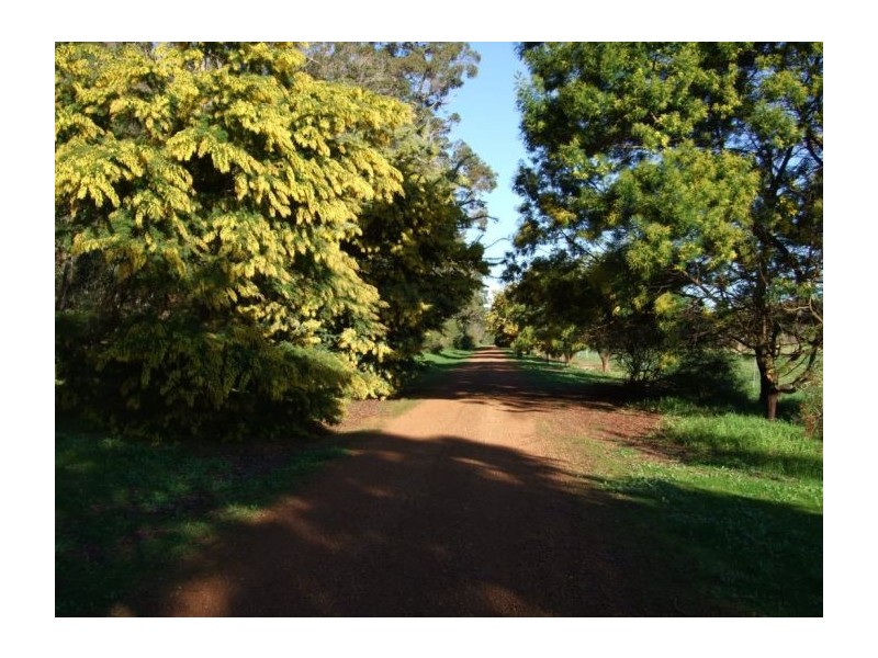 69 Roberts Rd, Nannup WA 6275