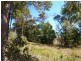 Lot 61 Carey Street, Nannup WA 6275