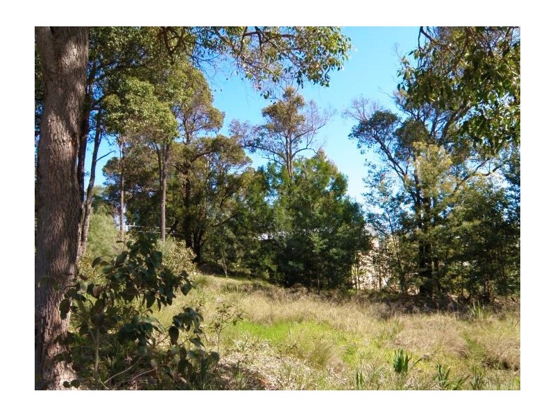 Lot 61 Carey Street, Nannup WA 6275