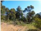 Lot 61 Carey Street, Nannup WA 6275