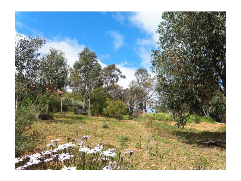 Lot 201 Balingup Road, Nannup WA 6275