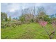Lot 11533 Brockman Hwy, Nannup WA 6275