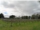 Lot 11533 Brockman Hwy, Nannup WA 6275