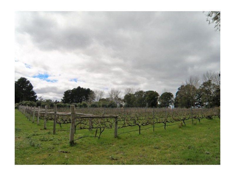 Lot 11533 Brockman Hwy, Nannup WA 6275
