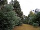 Lot 11533 Brockman Hwy, Nannup WA 6275
