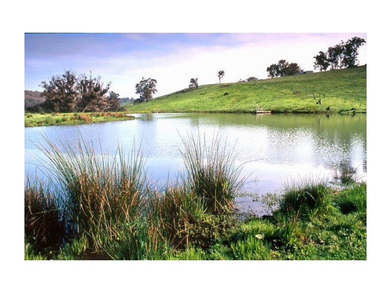 294 Mailman Road, Brazier WA 6251