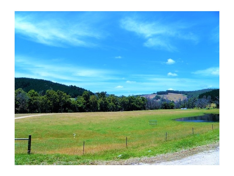 Lot 84 Balingup Nannup Road, Nannup WA 6275