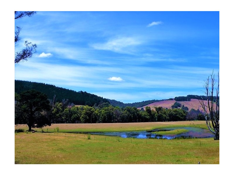 Lot 84 Balingup Nannup Road, Nannup WA 6275