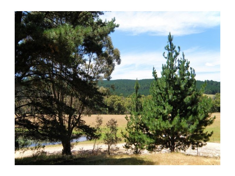 Lot 84 Balingup Nannup Road, Nannup WA 6275