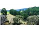 Lot 21 McAlpine Mews, Nannup WA 6275