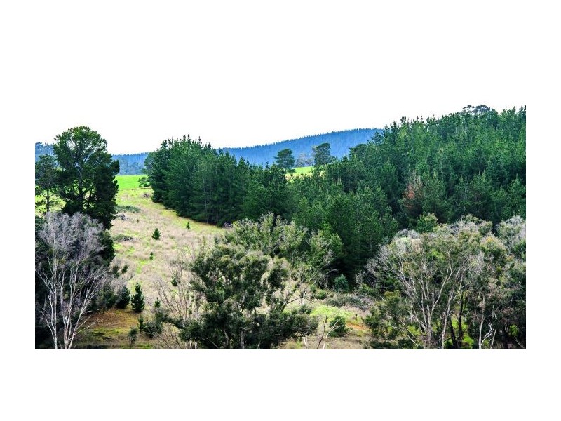 Lot 21 McAlpine Mews, Nannup WA 6275