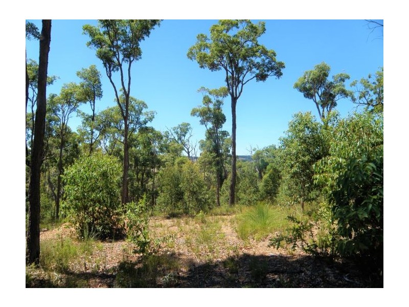 Lot 3 Widdeson Street, Nannup WA 6275