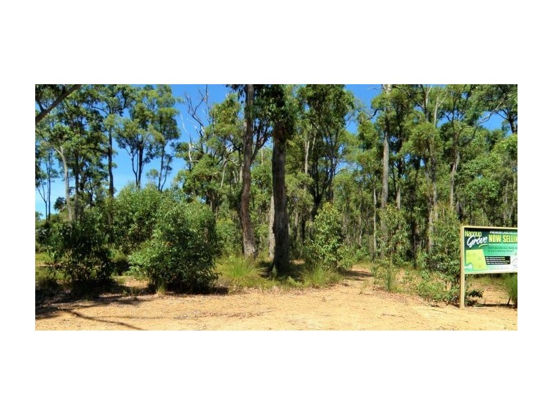 Lot 3 Widdeson Street, Nannup WA 6275