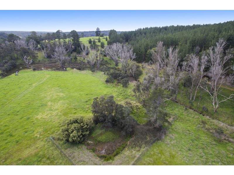 Lot 1 Folly Road, Nannup WA 6275