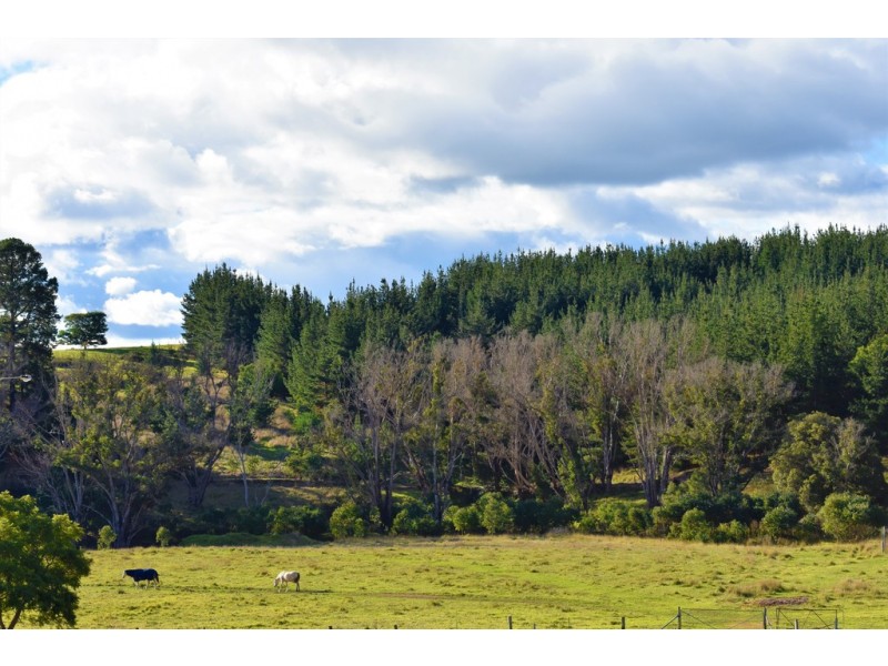 Lot 1 Folly Road, Nannup WA 6275