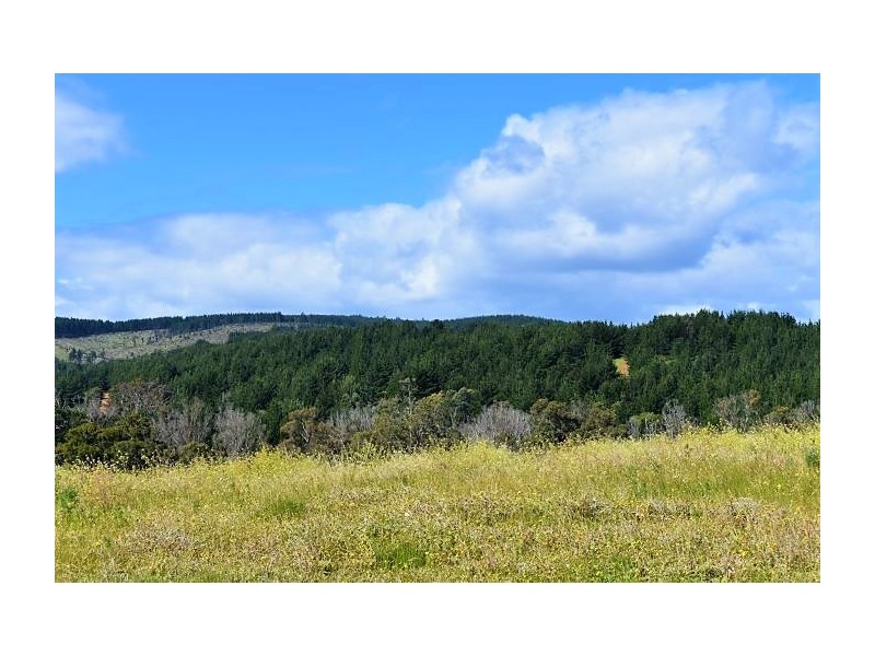 23 Hitchcock Drive, Nannup WA 6275