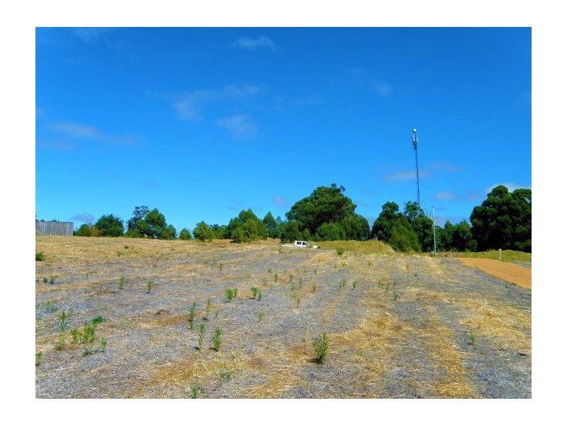 23 Hitchcock Drive, Nannup WA 6275