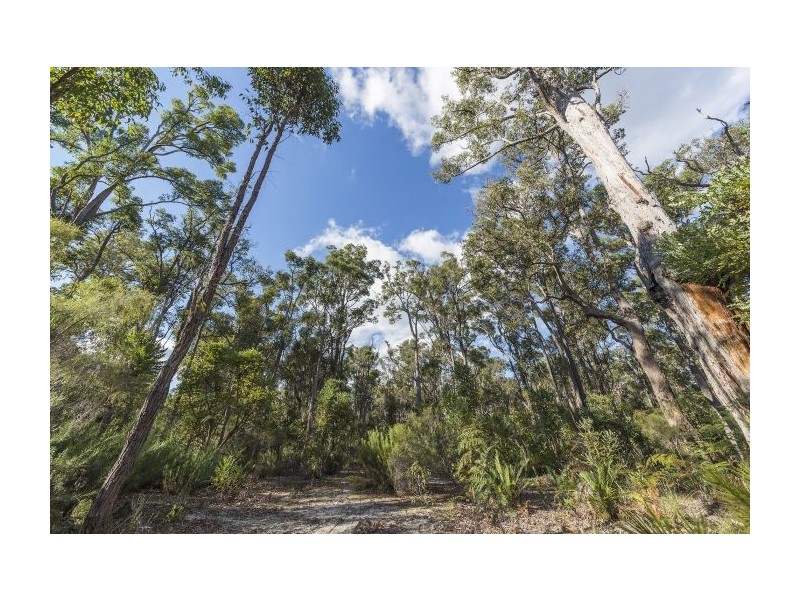 54 Leschenaultia Drive, Nannup WA 6275