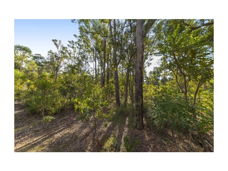 54 Leschenaultia Drive, Nannup WA 6275