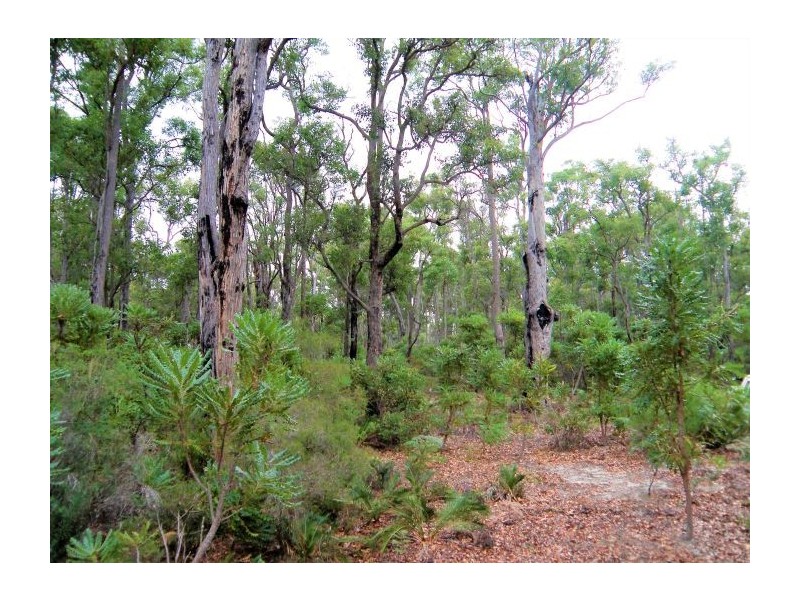 54 Leschenaultia Drive, Nannup WA 6275