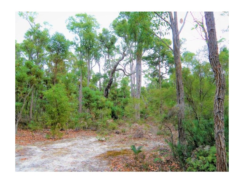 54 Leschenaultia Drive, Nannup WA 6275