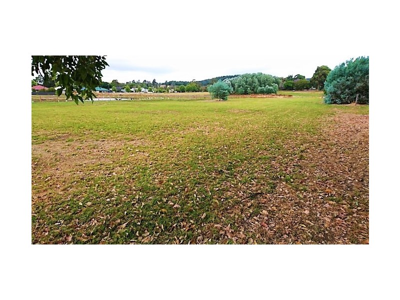 Lot 700 Higgins Street, Nannup WA 6275