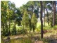 Nannup WA 6275