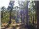 Nannup WA 6275