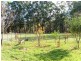 Lot 3 King Road, Nannup WA 6275