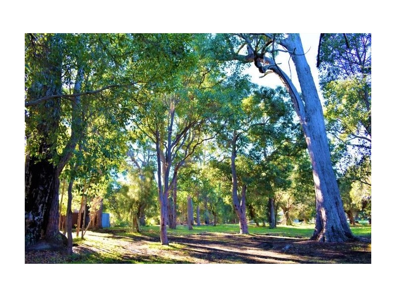 22 Greenwood Road, Nannup WA 6275