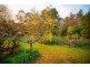 55/57 Bogadillup Road, Nannup WA 6275