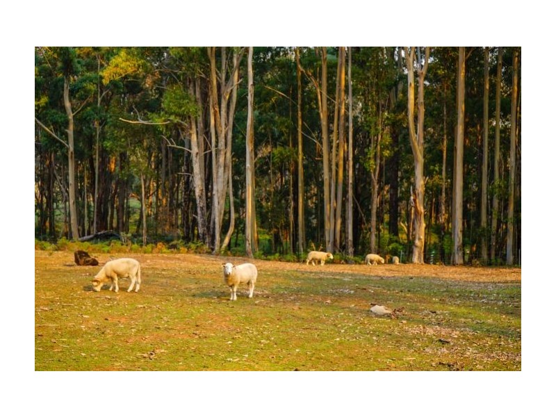 55/57 Bogadillup Road, Nannup WA 6275