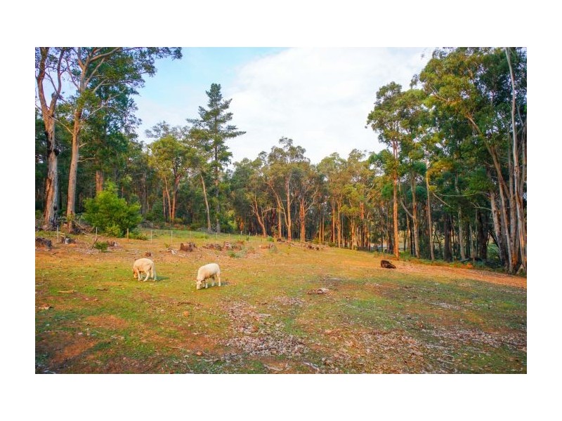 55/57 Bogadillup Road, Nannup WA 6275