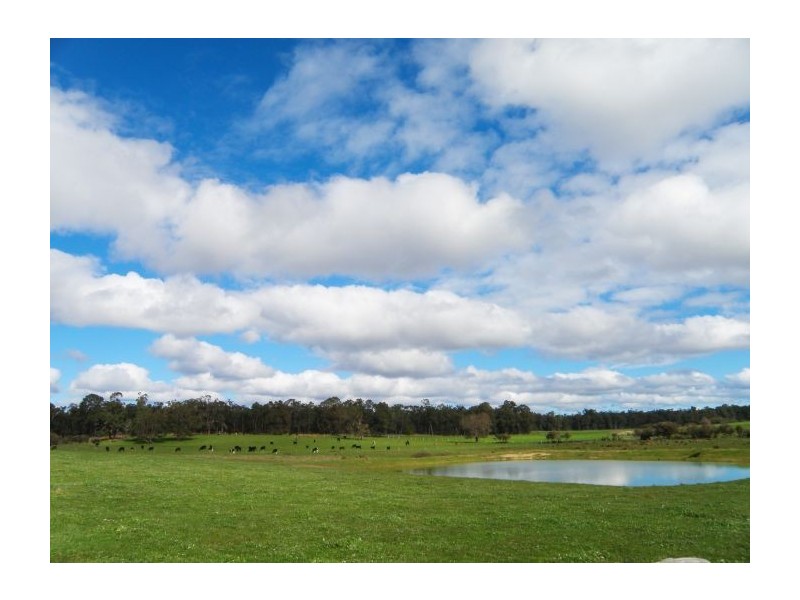 Lot 120 McKelvie Rd, Nannup WA 6275