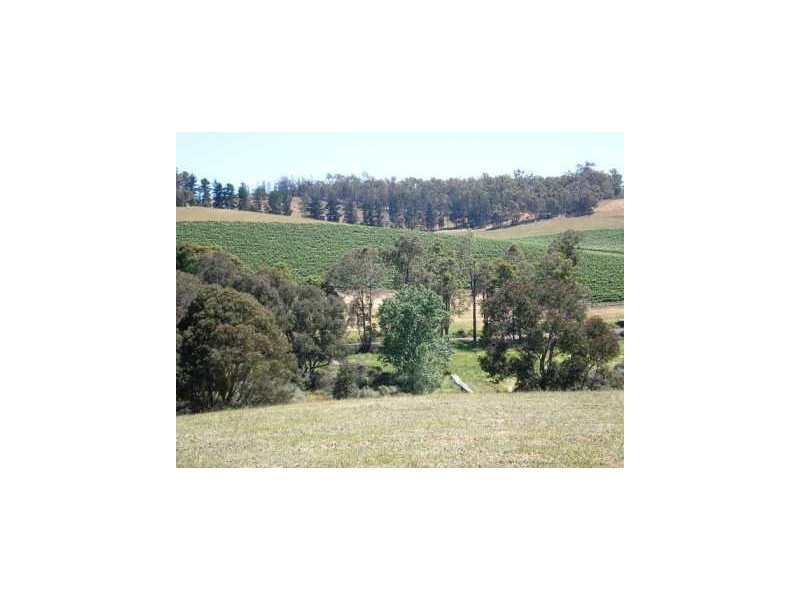 Lot 42 East Nannup Road, Nannup WA 6275