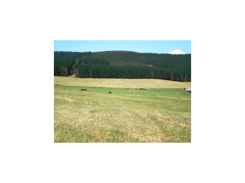 Lot 42 East Nannup Road, Nannup WA 6275