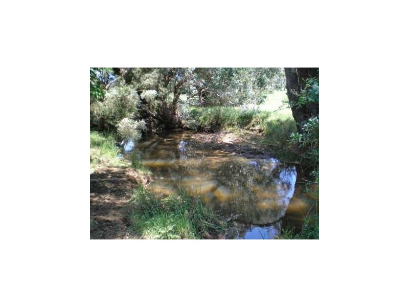 Lot 42 East Nannup Road, Nannup WA 6275