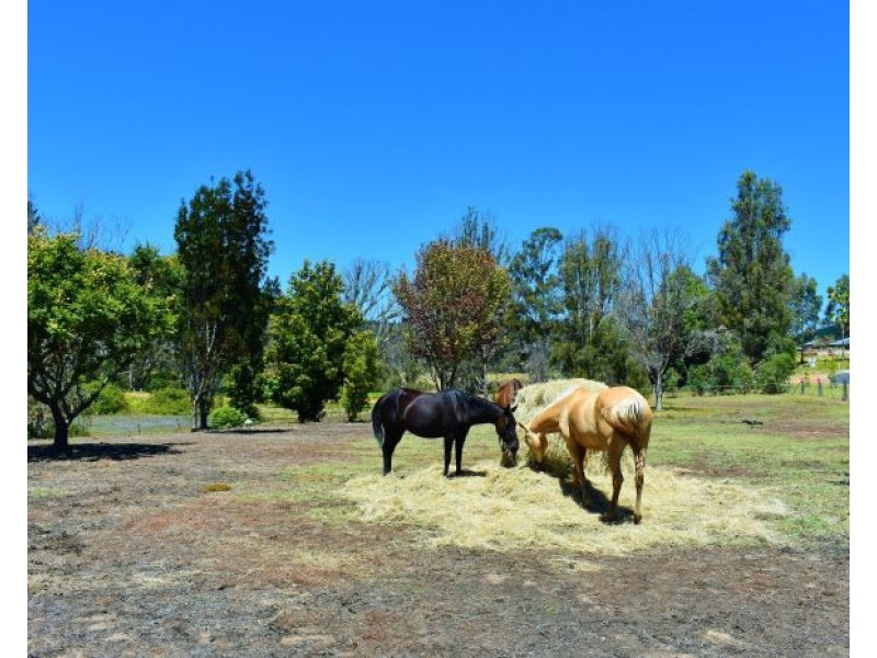 41 Grange Road, Nannup WA 6275
