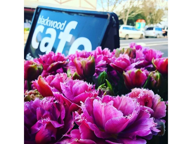 24 Warren Road, Nannup WA 6275