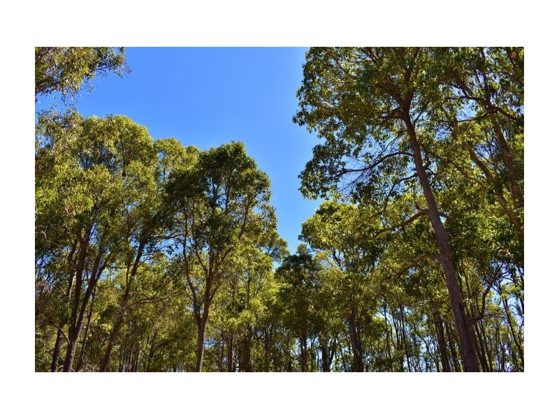 20 Walter Street, Nannup WA 6275